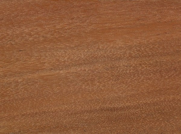 檀木/RED SANDALWOOD