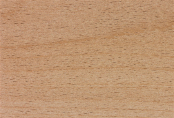榉木/Beech wood